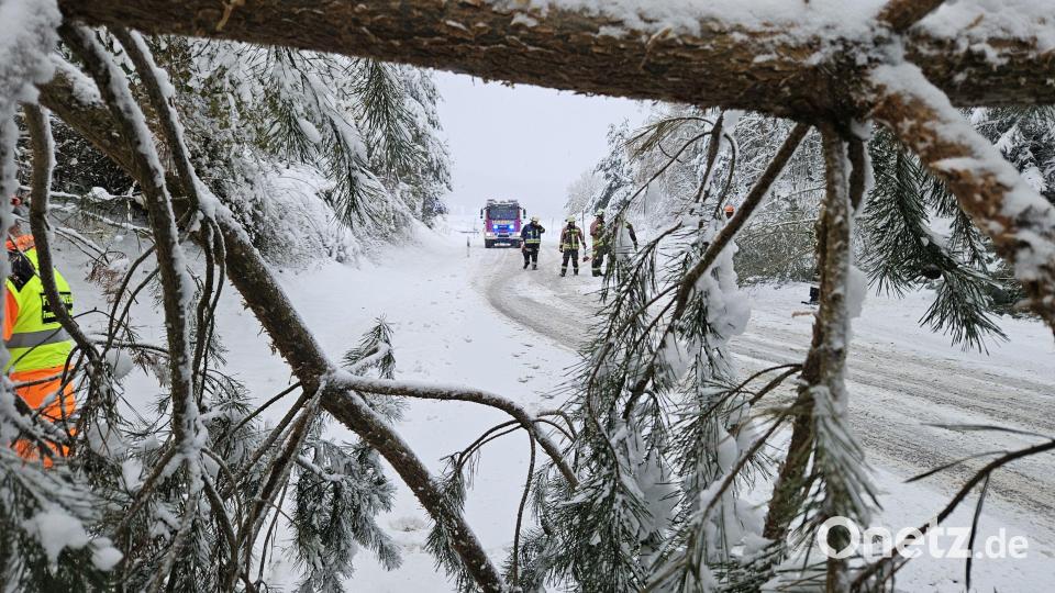 Umgestürzte Bäume wurden von der Feuerwehr beseitigt. Bild: Kreisbrandinspektion