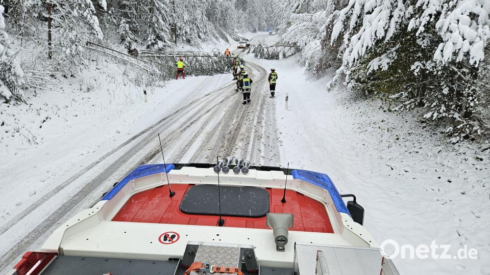 Die Schneefälle der vergangenen Tage führten im Landkreis Amberg-Sulzbach - im Bild ein Straßenabschnitt zwischen Freudenberg und Hainstetten - zu vielen umgestürzten Bäumen , die von den Feuerwehren beseitigt werden mussten. Bild: Kreisbrandinspektion