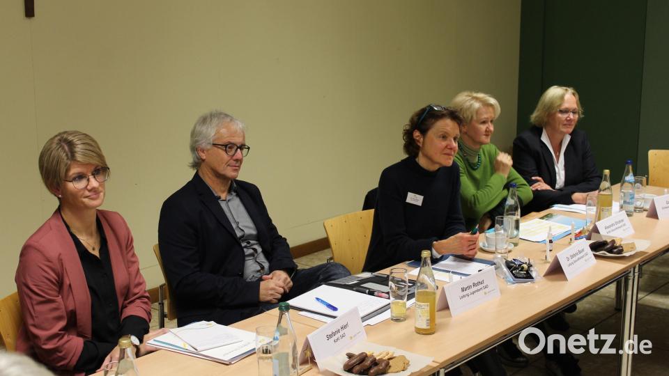 Die Leiterin des Gesundheitsamtes Dr. Stefanie Bauer (Mitte) und der Leiter des Kreisjugendamtes Martin Rothut (links daneben) leiteten den fachlichen Austausch über die Sicherstellung der Versorgung von Neugeborenen. Bild: Landratsamt Schwandorf/exb
