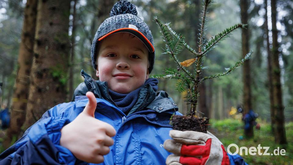 Leonhard Knott freut sich über seine Bäumchen im Zukunftswald an der Kösseine. Bild: Martin Hertel/exb