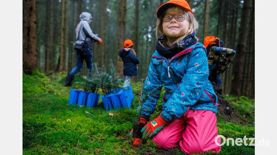 Lilly Kneidl präsentiert stolz „ihre Tanne“ im Zukunftswald an der Kösseine. Bild: Martin Hertel/exb