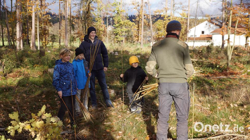 Zunächst wurden viele kleine Bambusstäbchen auf der Pflanzfläche verteilt, die den Abstand der einzelnen Forstpflanzen zueinander markierten. Bild: bkr
