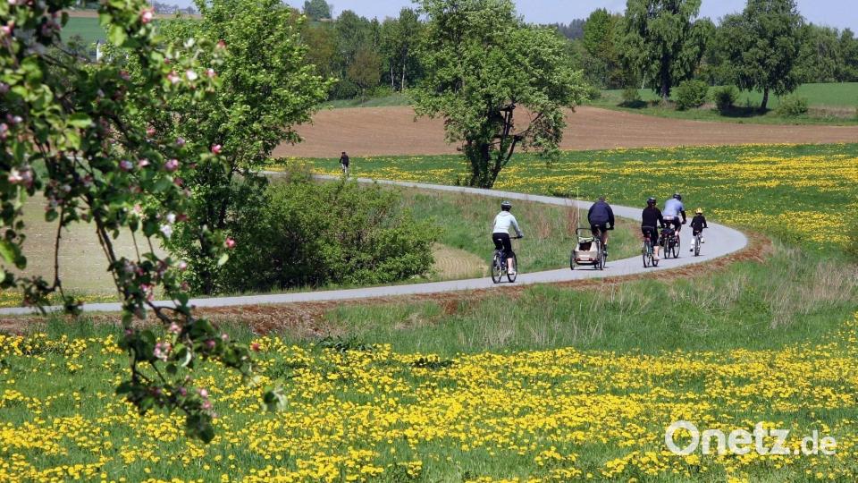 Der Bocklradweg, hier bei Albersrieth, ist ein Paradebeispiel. Doch der Landkreis Neustadt/WN will in dieser Hinsicht keinen Stillstand, sondern möchte mehr für die Radfahrer tun – sowohl für Urlauber als auch Einheimische. Archivbild: Ingrid Popp
