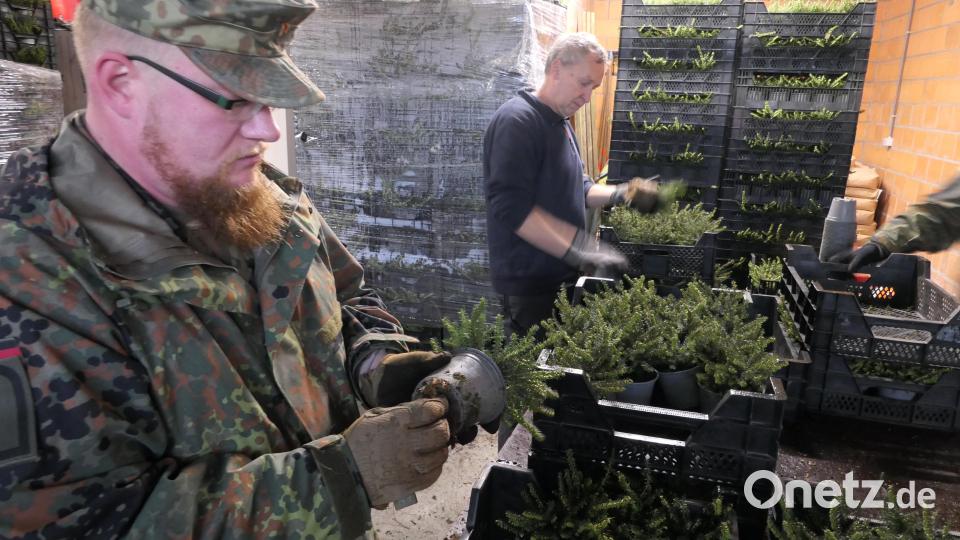Soldaten aus der Kaserne in Gärmersdorf pflanzten in Belgien 28 000 Pflanzen. Bild: Bundeswehr LogBtl 472/exb
