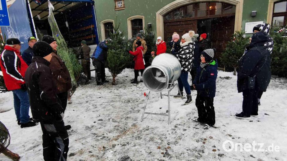 Interesse an einem Christbaum zeigen vor allem Familien mit Kindern. Bild: gz
