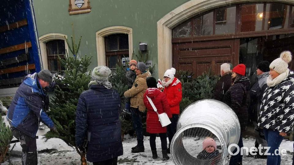 Die kleine Hannah Roth interessiert das Baumverpackungsgerät. Bild: gz
