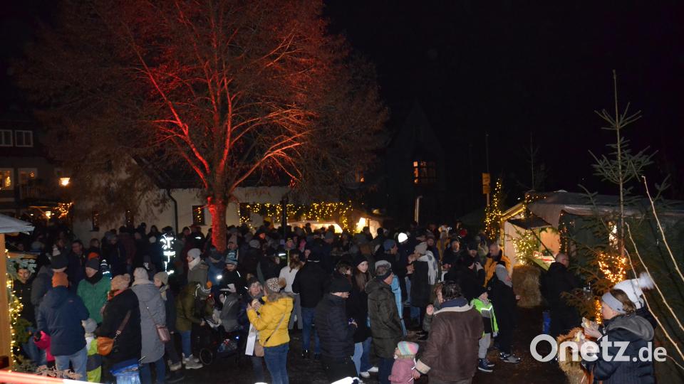Viele Besucher kamen zum Weihnachtsmarkt nach Burgtreswitz. Bild: gi