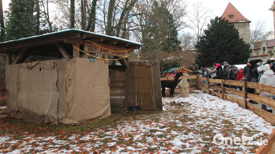Impressionen aus Regensburg mit Altstadt und Weihnachtsmarkt Bild: pi