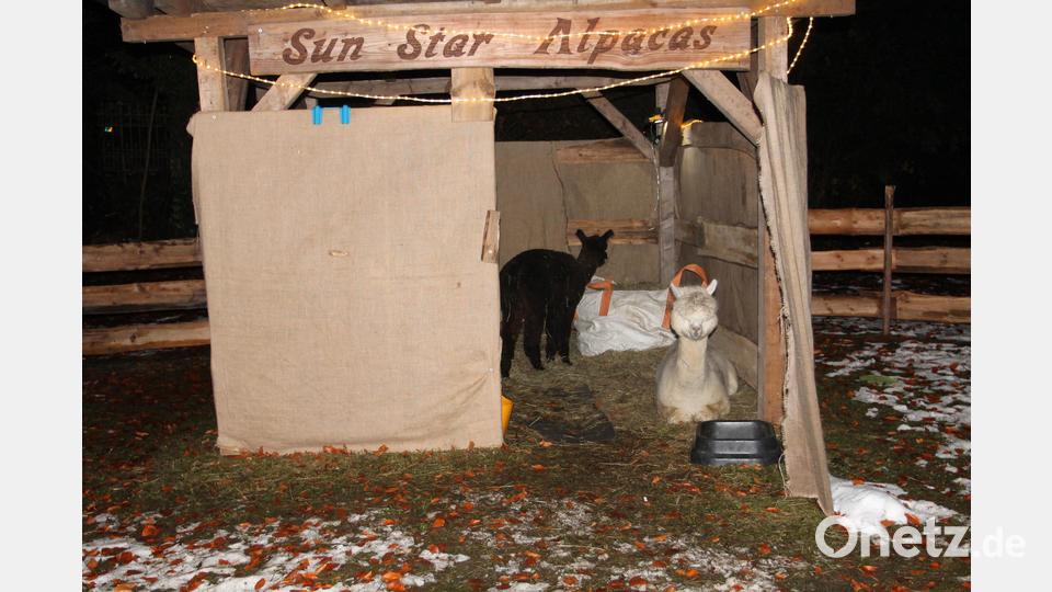 Impressionen aus Regensburg mit Altstadt und Weihnachtsmarkt Bild: pi