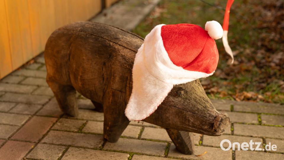 Auch das Schwein bekam keine kalten Ohren. Bild: rw