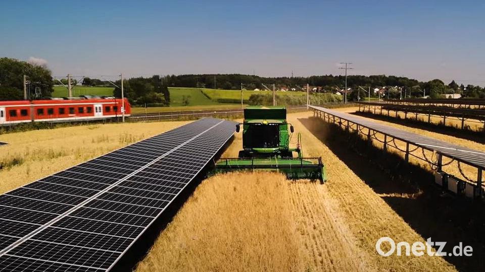 Im Ortsteil Trag soll eine Agrar-Photovoltaikanlage entstehen. Die ersten Weichen sind gestellt. Symbolbild: Doppelernte/exb