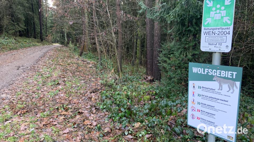 Die kleine Infotafel soll auch im Manteler Forst und im Wald um Grafenwöhr aufgestellt werden. Bei der Einmündung vor einer scharfen Kurve Richtung Neunkirchen steht die Tafel bereits. Bild: Stefanie Roth