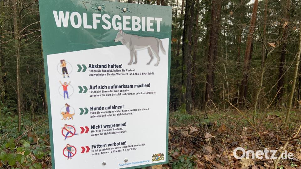 "Wolfsgebiet" steht auf der Infotafel. Es folgen fünf Tipps, wie man sich verhalten soll, wenn man einem Wolf begegnet. Bild: Stefanie Roth