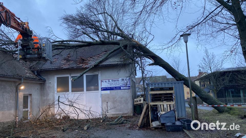 Ein weiterer Baum auf dem Grundstück stürzte auf das benachbarte landkreiseigene Gebäude. Am Morgen danach waren die städtischen Bauhofmitarbeiter vor Ort, den Schaden zu beseitigen. Bild: dob
