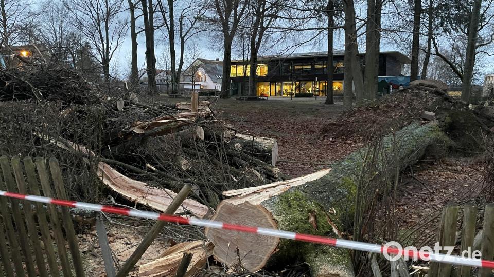 Am Tag nach dem Sturm ist die Einsatzstelle in Vohenstrauß abgesperrt. Bild: dob