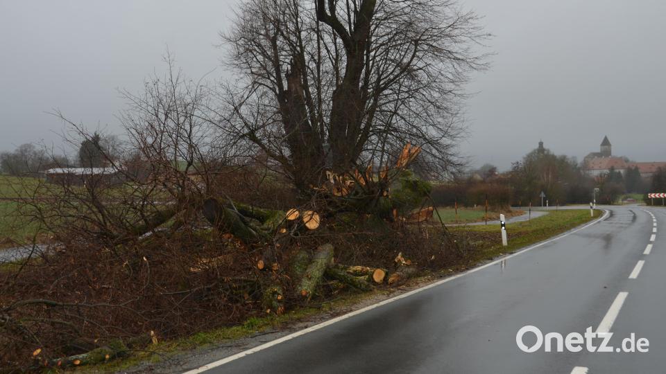 Der Jahrhunderte alte Baum an den drei Kreuzen bei Waldau hielt dem Sturm an Weihnachten nicht mehr stand. Bild: dob