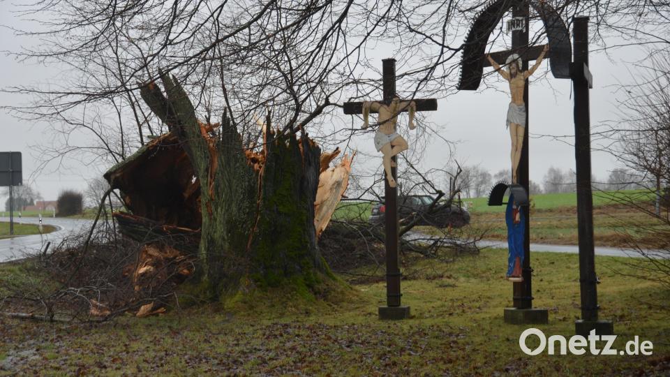 Der Jahrhunderte alte Baum an den drei Kreuzen bei Waldau hielt dem Sturm an Weihnachten nicht mehr stand. Bild: dob