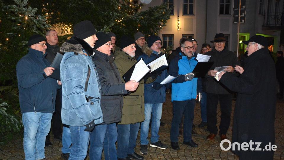 Der Männergesangverein Mitterteich unter Leitung von Eduard Bauer. Bild: jr