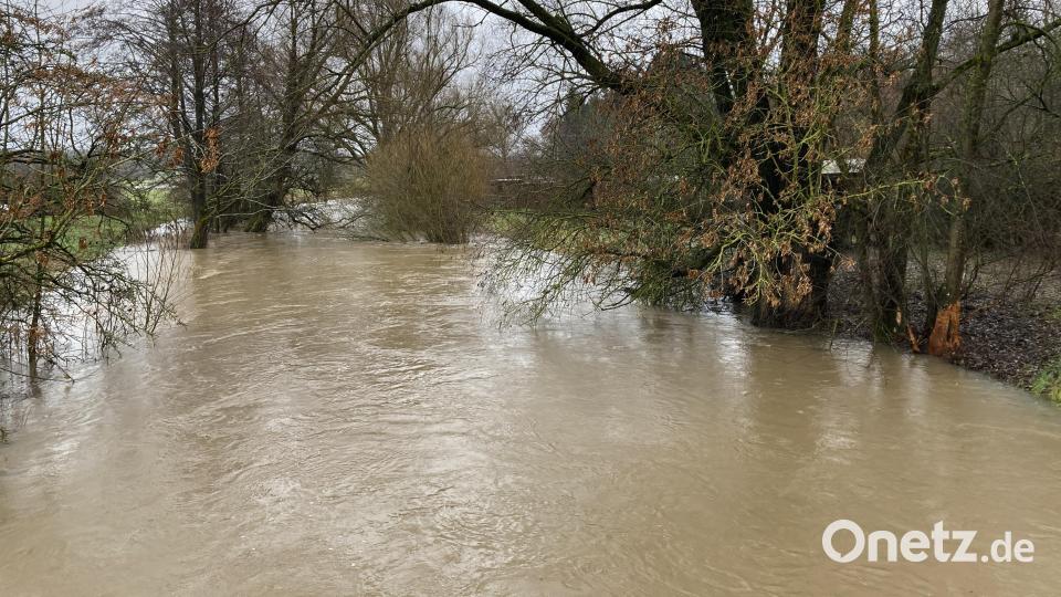 Das volle Flussbett der Haidenaab mit der Nagestelle des Bibers. Bild: rpp
