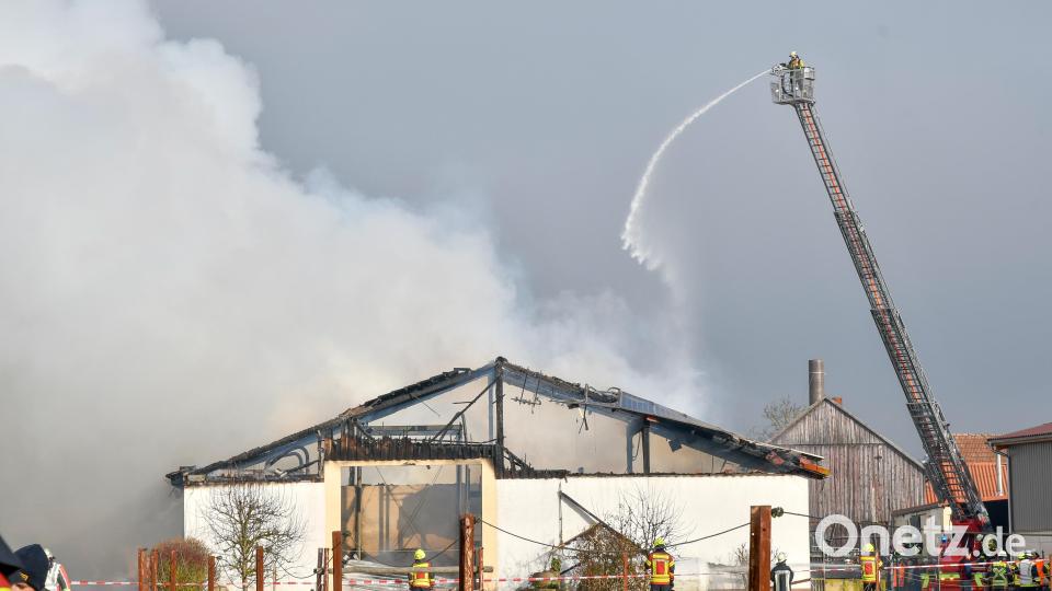 Beim Großbrand eines Schweinestalls in Hiltersdorf dürften sehr viele Schweine ums Leben gekommen sein, da die Tiere zunächst im Gebäude blieben. Bild: Petra Hartl