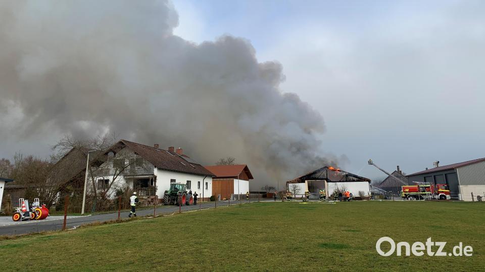 Beim Großbrand eines Schweinestalls in Hiltersdorf dürften sehr viele Schweine ums Leben gekommen sein, da die Tiere zunächst im Gebäude blieben. Bild: Petra Hartl