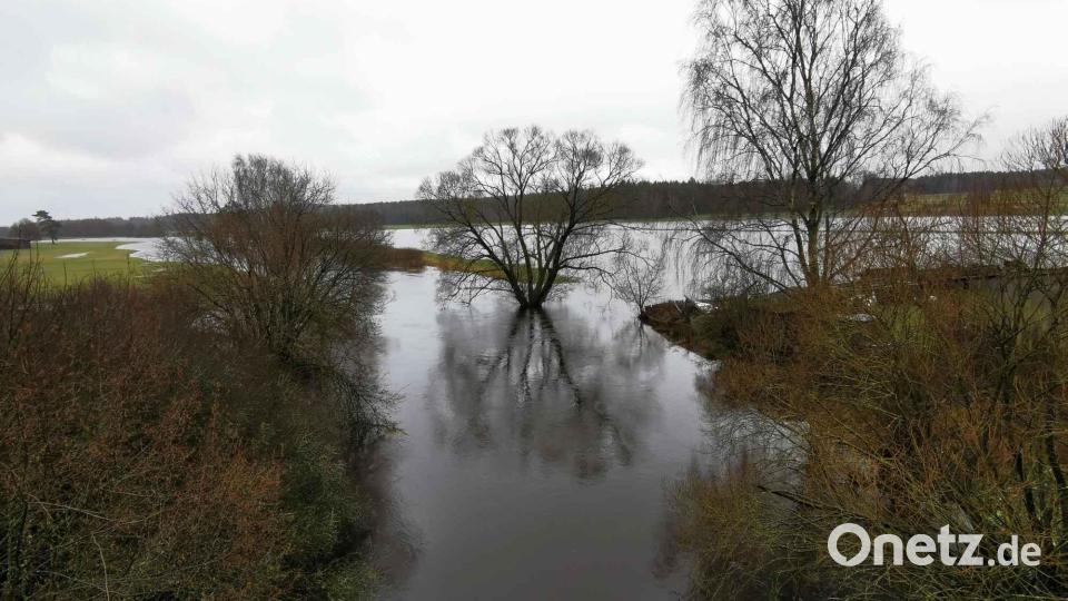 Die Pfreimd kann das Regenwasser nicht mehr befördern und füllt die Wiesen mit Wasser, so dass auch am Ufer stehende Bäume mitten im Wasser stehen. Bild: gz
