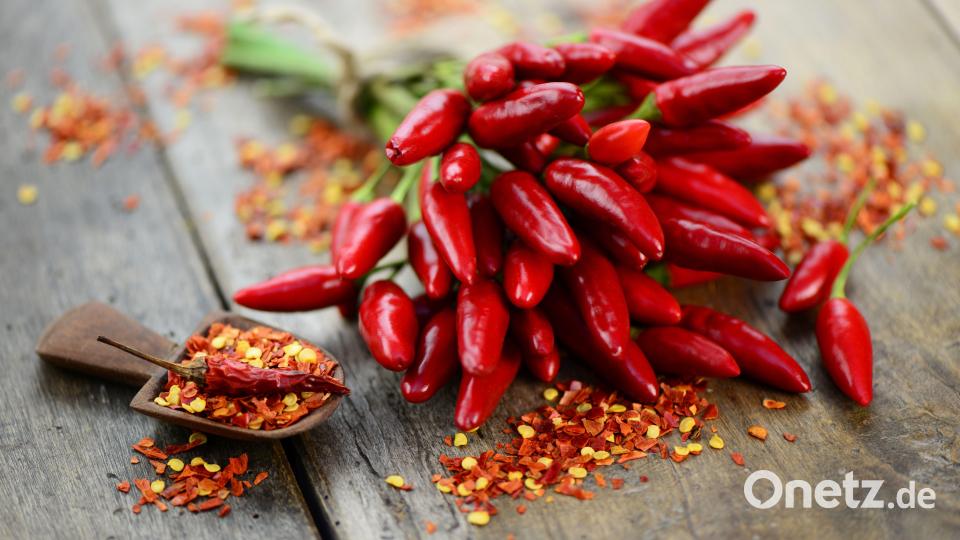 Das Capsaicin verleiht den Chilischoten, einer Sonderform der Paprika, die Schärfe. Es sitzt vor allem in den weißlichen Scheidewänden im Inneren der Chilis, weniger im roten Fruchtfleisch. Symbolbild:  photocrew/stock.adobe.com