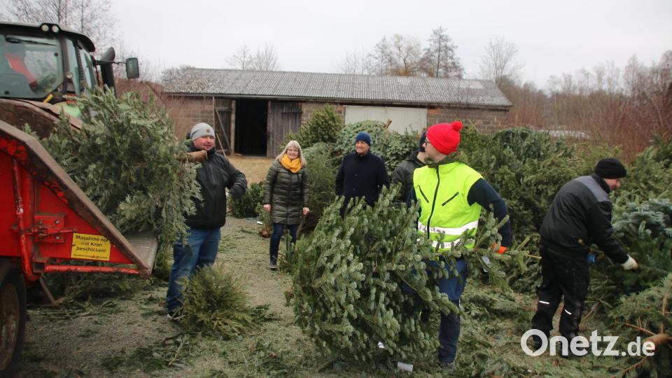 JU-Vorsitzender Florian Placzek (links) und sein Team entsorgten 330 Bäume aus dem Stadtgebiet. Bild: sne