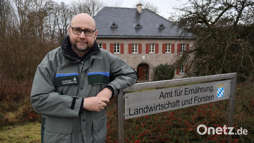 Günter Dobler ist neuer Leiter der Abteilung Forsten 3 (Zuständigkeit: Westhälfte des Landkreises Neustadt/WN samt Stadtgebiet Weiden) am Amt für Ernährung, Landwirtschaft und Forsten Tirschenreuth-Weiden mit Dienstort in Pressath. Bild: AELF TW/exb
