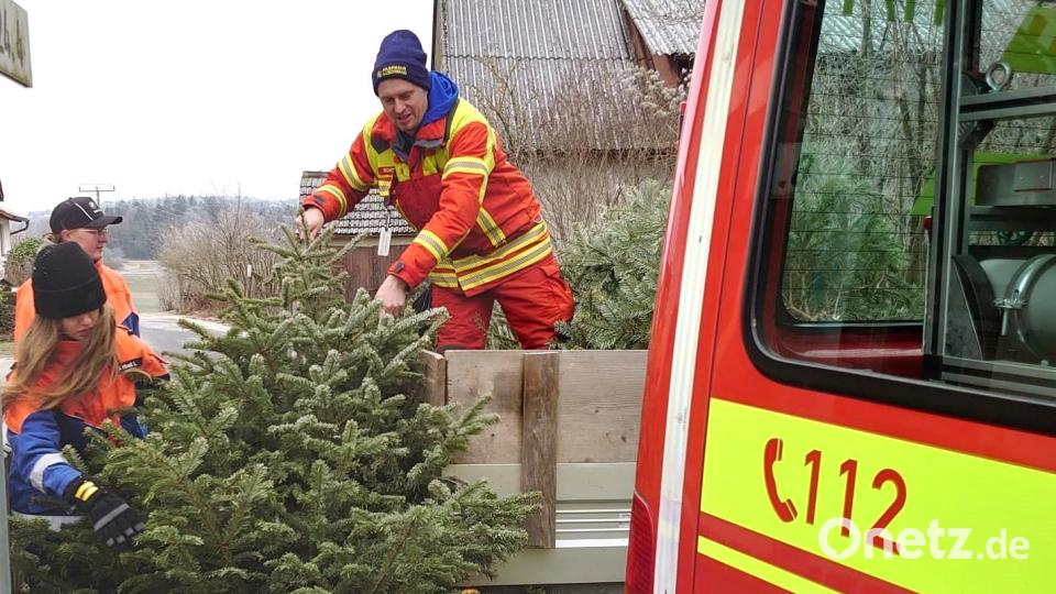 Drei Mitglieder der Jugendfeuerwehr bei der Entsorgung eines nicht mehr benötigten Christbaums Bild: no