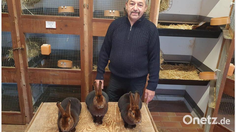 Bruno Fröhler mit drei seiner Schützlinge, mit denen er in Lichtenfels Oberfrankenmeister wurde. Bild: jsa