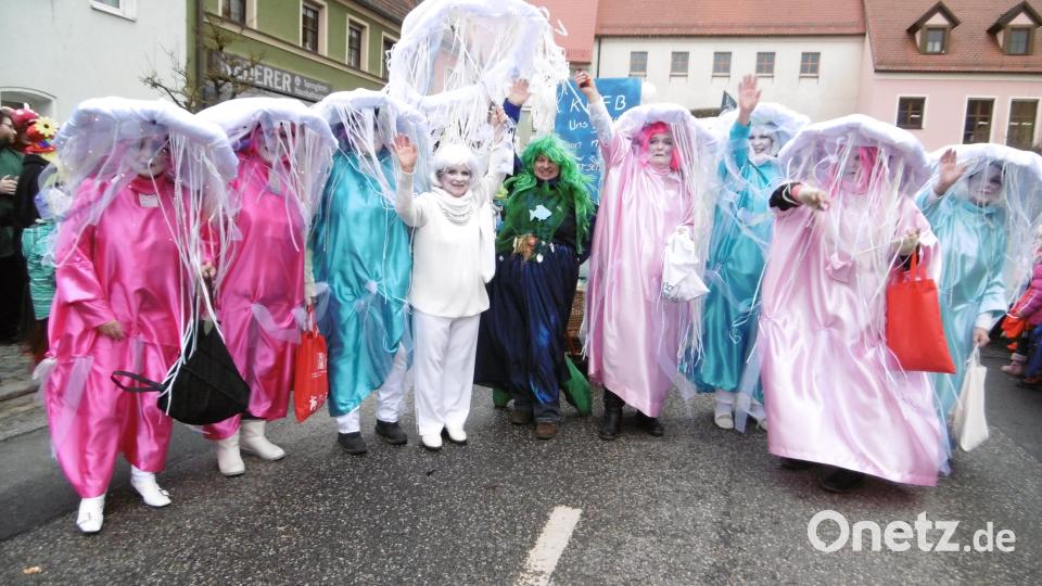 Diese Quallen sollte man nicht unterschätzen! Archivbild: mma