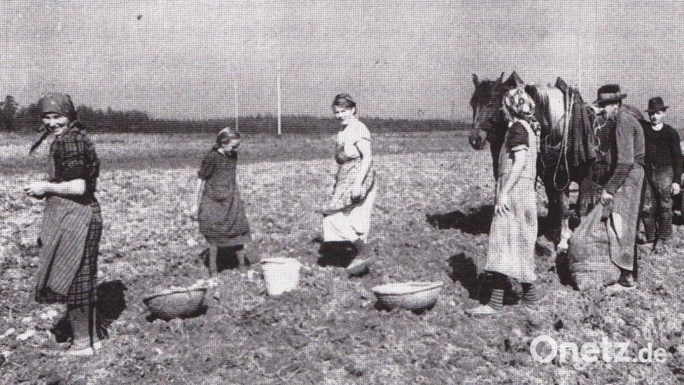 In Krätzeln sammelte man früher die Kartoffeln. Bild: Archiv Schmaußer