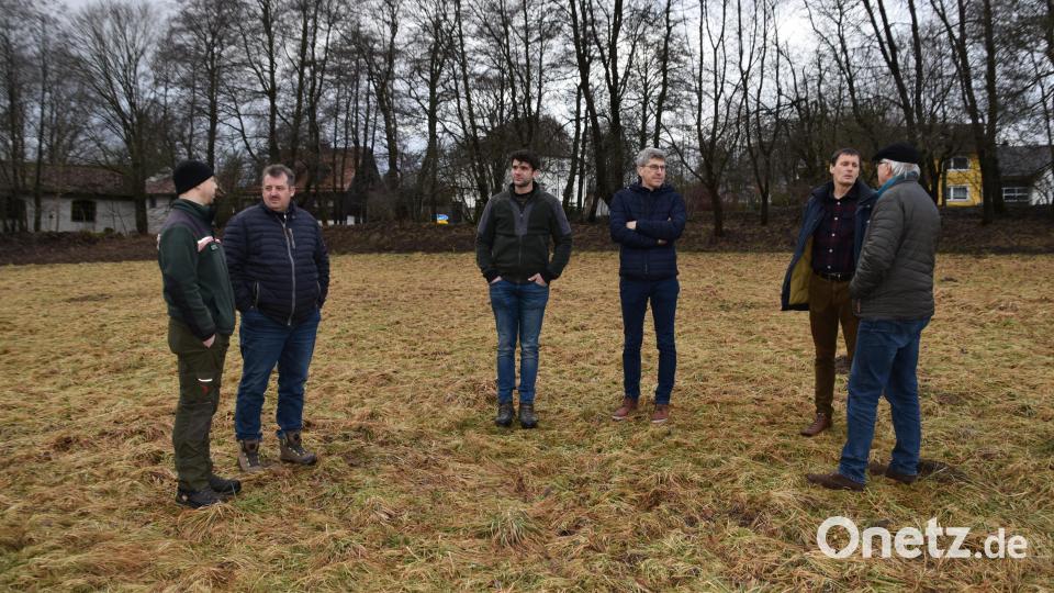 Auf der Suche nach einem Storchenhorst begeben sich Bürgermeister Reinhard Kreuzer und zweiter Bürgermeister Andreas Hopfner, Zeno Bäumler vom LBV, Markus Kurz (Naturpark Oberpfälzer Wald), Armin Ebnet vom städtischen Bauamt und Förster Michael Forster auf Tour. Bild: Stadt Schönsee/exb
