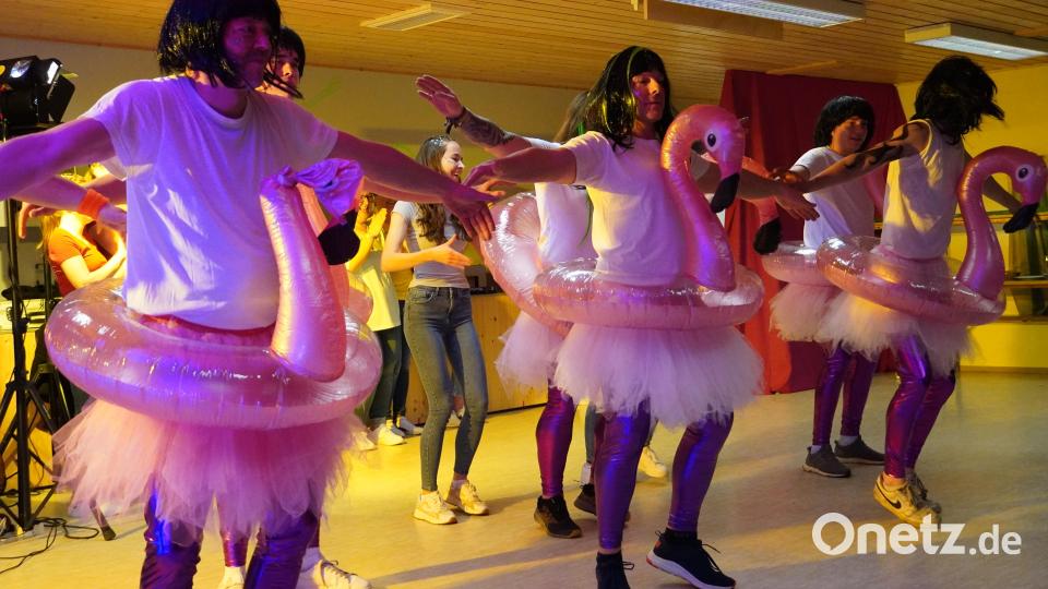Für atemberaubende Momente sorgt der Linder Faschingsverein (LFV), als die Männer als tanzende Flamingos in weißen Tutu-Röckchen und glänzenden Stretchhosen die Bühne erobern. Bild: dob