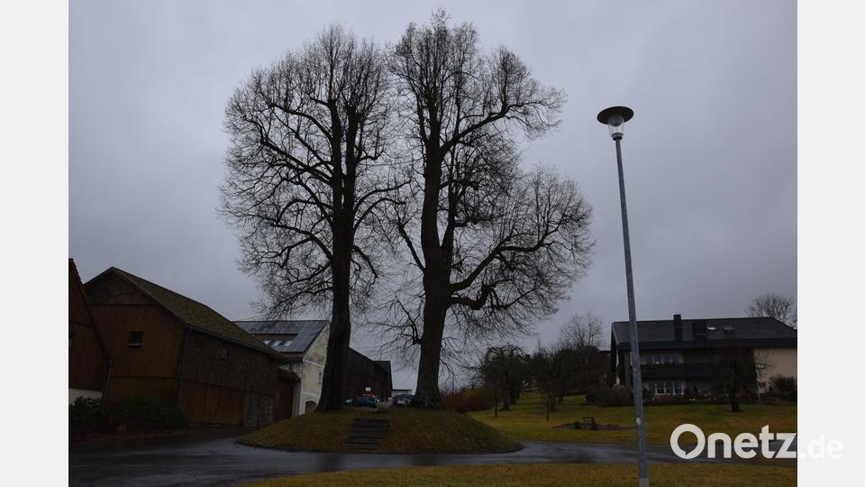 Baumgutachter Manfred Härtl wird die Dorflinde erneut kontrollieren. Bild: fla