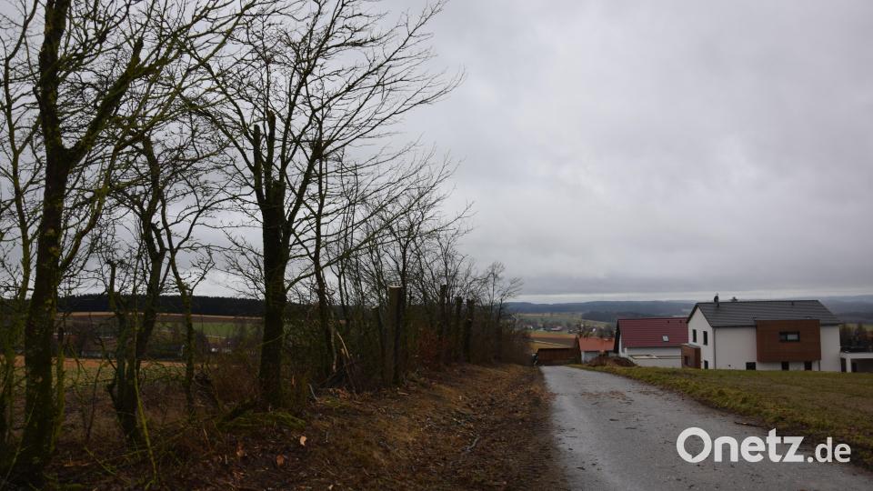 Die Bäume im Bereich Hirmersbühl wurden aus- und zurückgeschnitten. Bild: fla