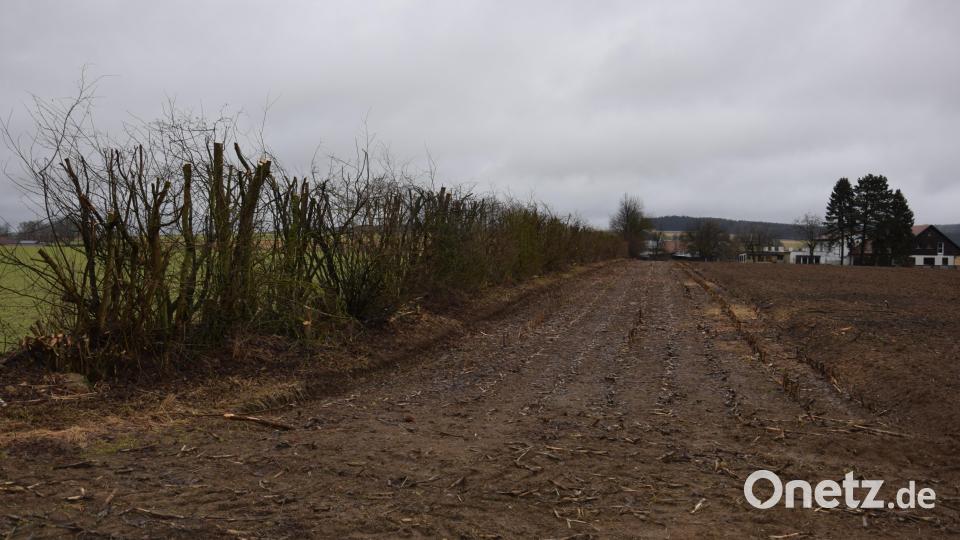 Die Windschutzstreifen wurden in Absprache mit der Unteren Naturschutzbehörde zurückgeschnitten. Bild: fla