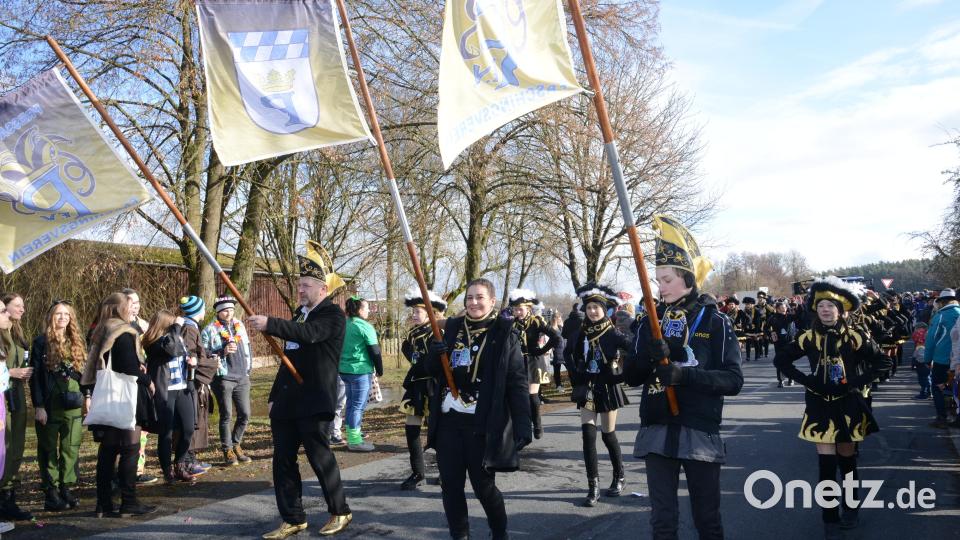 Eine Abordnung des Pressather Faschingsvereins marschiert auch in Hammerles mit. Bild: bey