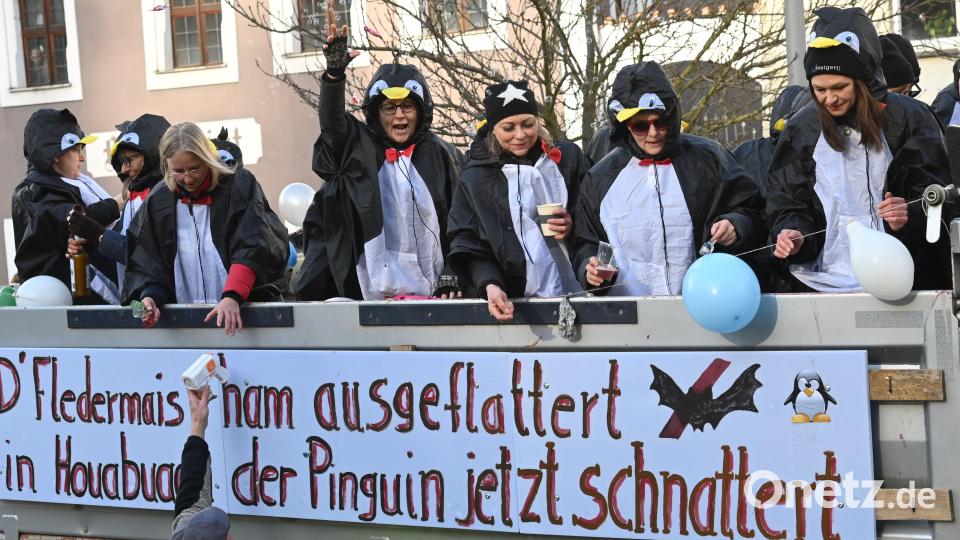 Pinguine "schnatterten" durch Hohenburg. Bild: gf