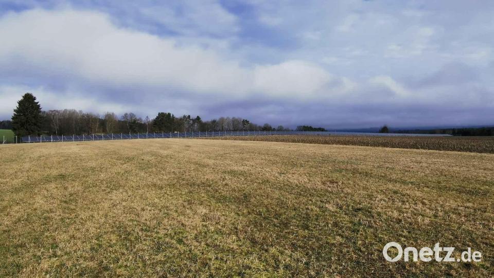 Im Anschluss an die bestehende Freiflächen-Photovoltaikanlage ist auf rund zehn Hektar noch in diesem Jahr der &quot;Solarpark Sandhut&quot; geplant. Bild: gz