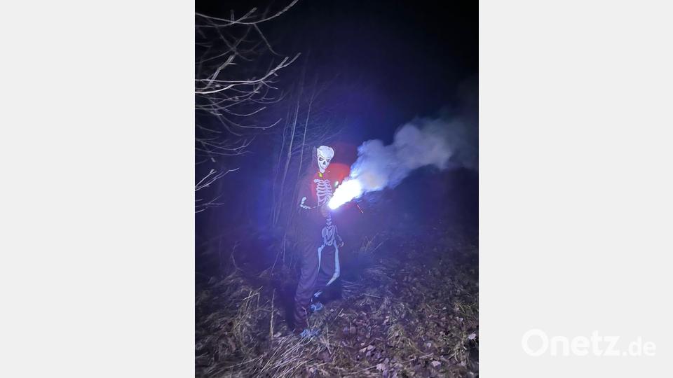Im Wald geht&#039;s gruselig zu. Bild: pi