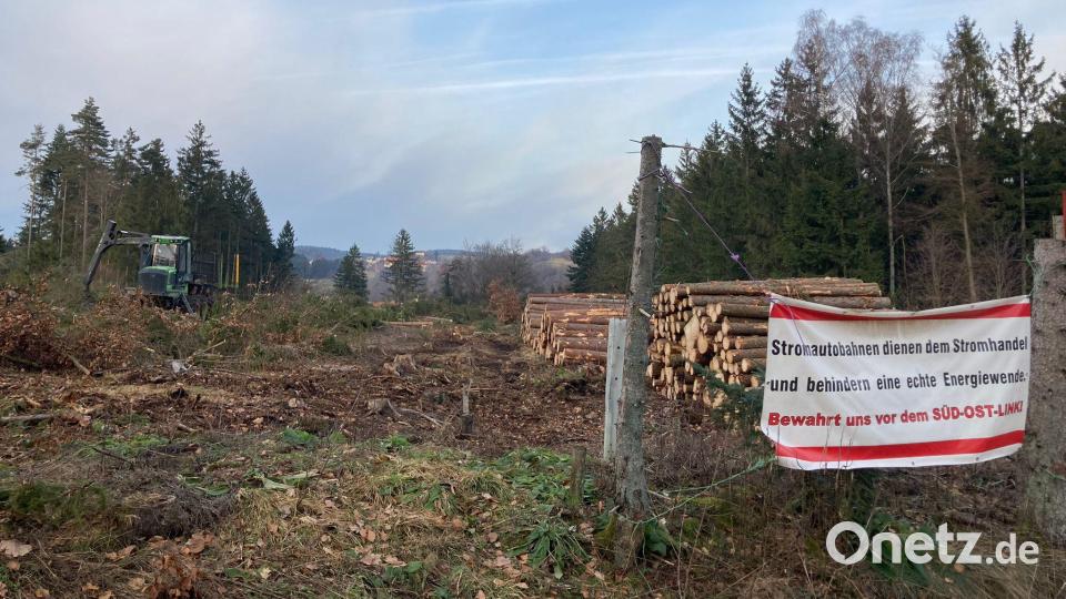 Im Raum Regensburg lässt Tennet bereits für den Süd-Ost-Link eine Trasse durch den Wald schlagen. Bild: Bürgerinitiative Brand/exb