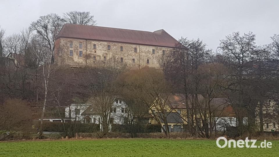 Der jahrzehntealte Baumwildwuchs rund um das Schloss Burgtreswitz ist nun beseitigt. Das Schloss hat wieder Licht und durch die Sonneneinwirkung können die Mauern trocknen. Bild: gi