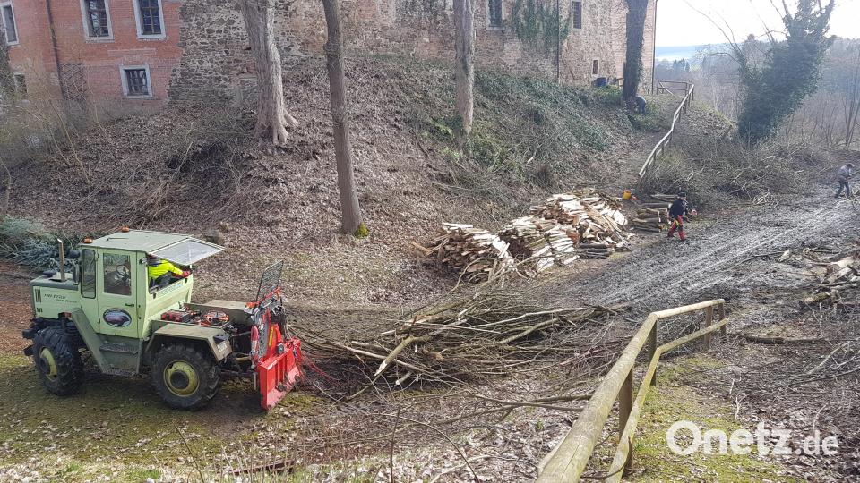 In den vergangenen Wochen waren viele Arbeiten nötig, um die freie Sicht auf das Schloss Burgtreswitz wieder herzustellen. Bild: gi