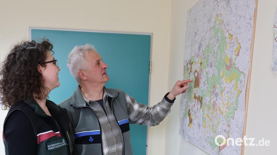 Karl-Heinz Melzer zeigt die Landkarte des Tirschenreuther Forstreviers und angrenzender Gebiete. Bild: Judith Zeitler/AELF/exb
