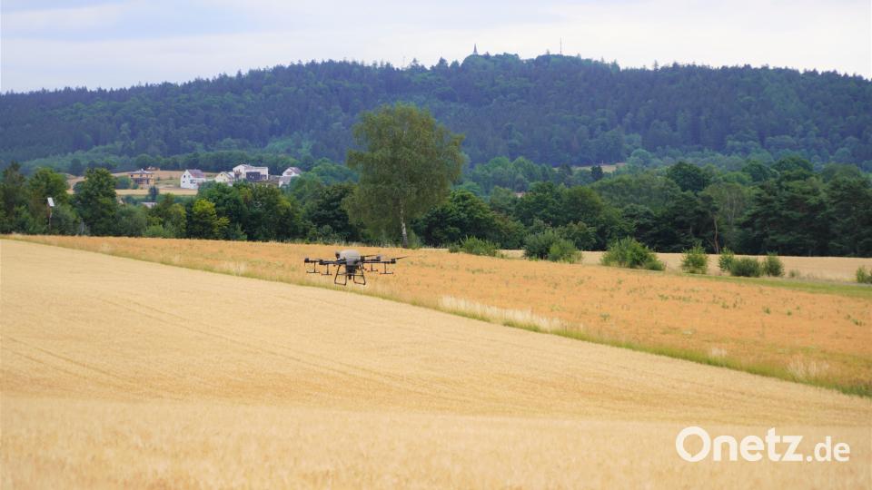 Wasserschutz - Zwischenfrucht mit Agrardrohne säen Bild: fvo