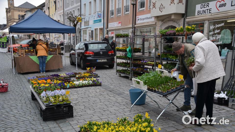 Neben regionalen Speisen gab es auch was für den Garten. Bild: ak