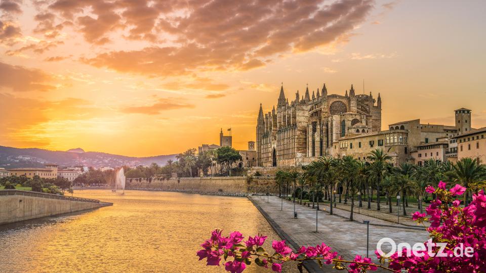 Die Kathedrale in Palma de Mallorca. Bild: Serenity-HShutterstock.com