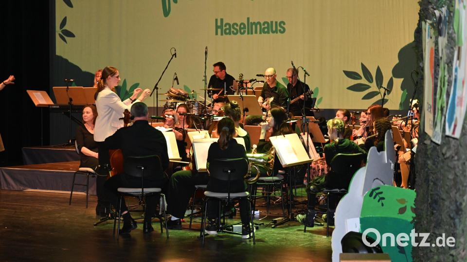Das neu gegründete Jugendorchester unter der Leitung von Veronika Zinner feiert Premiere. Bild: kki